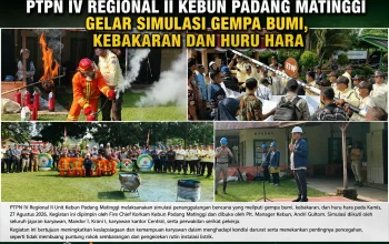 PTPN IV Regional II Unit Kebun Padang Matinggi Gelar Simulasi Gempa Bumi, Kebakaran, dan Huru-Hara